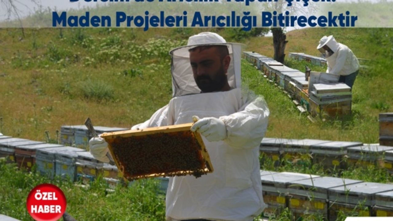 Dersim’de Arıcılık Yapan Çiçek: Maden Projeleri Arıcılığı Bitirecektir