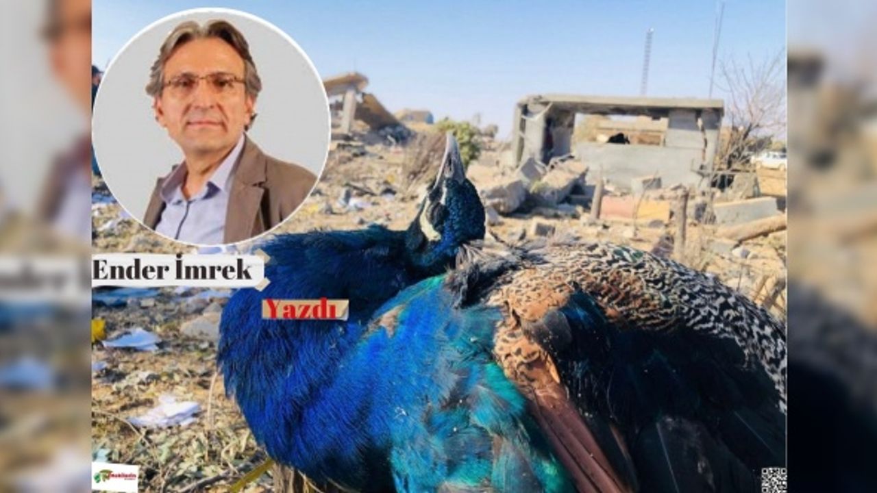 Ender İMREK - Barzani’nin Ankara ziyareti, Şengal’in Tavus kuşu