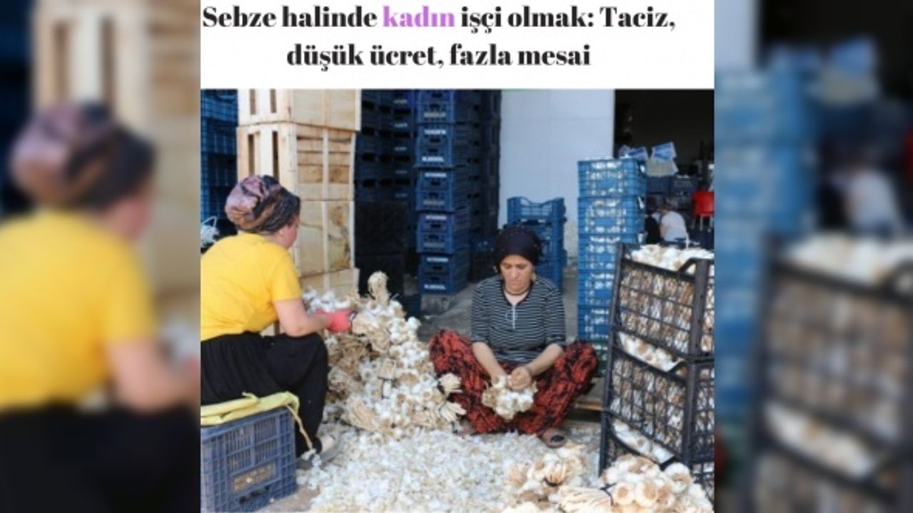 Sebze halinde kadın işçi olmak: Taciz, düşük ücret, fazla mesai