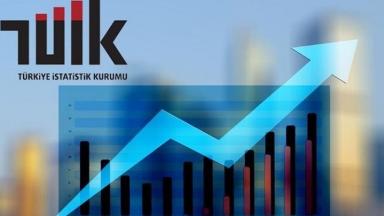 TÜİK’e göre Türkiye 2022'de büyüdü