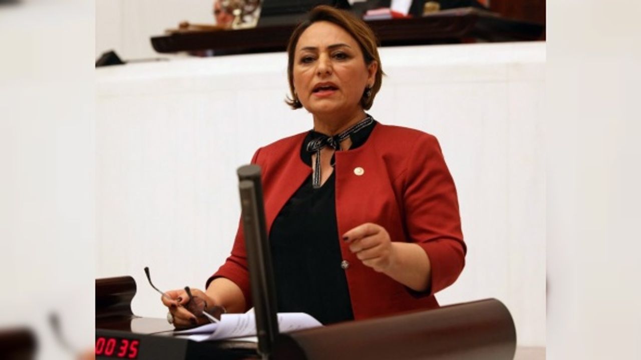 CHP'li Şevkin: Kamu mühendislerinin özlük hakları düzeltilsin