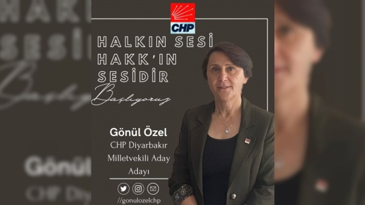 Gönül Özel CHP'den aday adaylığını açıkladı