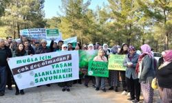 101 isimden sol-sosyalist güçlere çağrı: Tek listede ortaklaşın