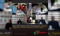 Bitlis HDP Deprem Kriz Koordinasyonu: Deprem bölgelerine yönelik çalışmamız devam ediyor