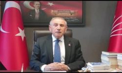 CHP'li Kaya, Bakan Dönmez'e “Bu Felaketten ‘Kaç Para Kazanırım’ Diye Peşine Mi Düştünüz?