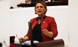 CHP'li Şevkin: Kamu mühendislerinin özlük hakları düzeltilsin