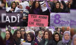 Van’da kadınlar, TJA öncülüğünde 8 Mart kapsamında eylem düzenledi