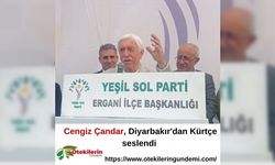 Cengiz Çandar, Diyarbakır'dan Kürtçe seslendi