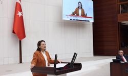 CHP'li  Dr. Şevkin: Karadeniz ve Trabzon’da tsunami ve deprem riski göz ardı ediliyor