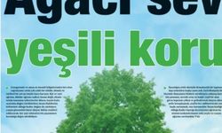 Yeni Yaşam’dan ‘Ağacı sev yeşili koru’ manşeti