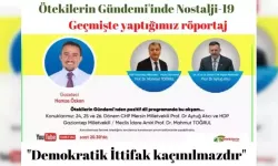 "Demokratik İttifak kaçınılmazdır"