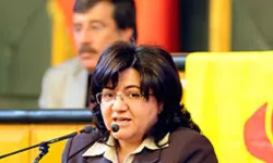 Kürt siyasetçi Emine Ayna’ya ceza istemi