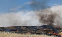 Bismil'de arazi kavgası: 8 ölü, 3 yaralı