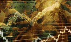 Dolar ilk kez 25 TL'yi aştı!