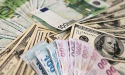 Dolar ve Euro ne kadar oldu?