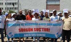 SES Amed Şubesi: Usulsüzlükler karşısında susmayacağız