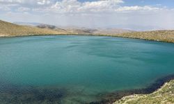 Bihuşta veşarî ya Faraşînê: Gola Çalyanê