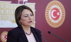 CHP'li Dr. Müzeyyen Şevkin: 27.5 milyon kişide silah var!