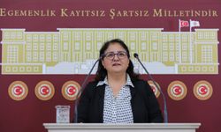 "Dersim Bilinçli Bir Şekilde İnsansızlaştırılıyor, Alevi Halkı Göçe zorlanıyor! "