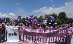 Yeni anayasa tartışmaları: Değişim için barış ortamına ihtiyaç var