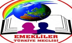 "Tüm emekli sendika, dernek ve platformlara çağrımızdır!"