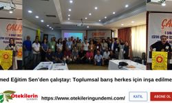 Amed Eğitim Sen’den çalıştay: Toplumsal barış herkes için inşa edilmeli