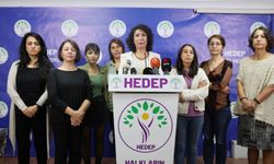 HEDEP'li Türkoğlu: Kobanê düşmedi, saldıranlar düşecek