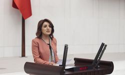 CHP’li Gülcan Kış, AKP’nin ülkenin gerçeklerinden koptu