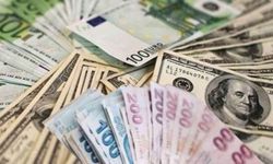 Dolar rekor kırdı, Euro zirveye yakın seyrediyor!