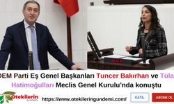 DEM Parti EŞ Genel Başkanları Meclis’te konuştu