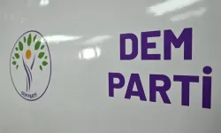 10 soruda DEM Parti'nin ön seçimlerine dair merak edilenler