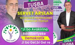 Servet Arslan: Tuşba ilçesi her şeyden mahrum bırakılmış