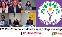 DEM Parti'den halk oylaması için delegelere çağrı