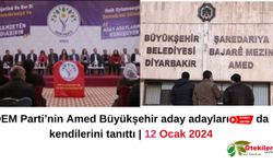 DEM Parti Amed Büyükşehir Belediye eşbaşkan aday adaylarını tanıtıyor