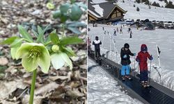 Bolu'da iki mevsim bir arada yaşanıyor