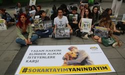 Herkes için şiddetsiz bir dünya istiyoruz