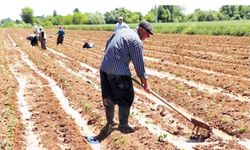 Maliyetler her yıl artıyor. Hep üreticiden gidiyor