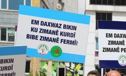 DEM Parti’den önerge: Kürtçe resmi dil olmalı