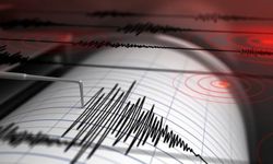 Sivas'ta 4.7 büyüklüğünde deprem