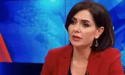 Gazeteci Özlem Gürses gözaltına alındı