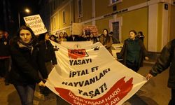 'Hayvan katliamı yasası' protesto edildi