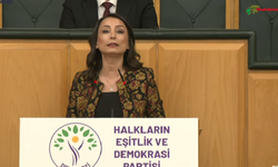 "DEM Parti olarak Sayın Öcalan'ın tarihi mesajının arkasındayız."