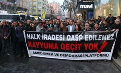 Zeydan’a verilen ceza Amed’de protesto edildi