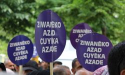 Banga ‘Bila Kurdî bibe zimanê fermî û yê perwerdehiyê’ kirin