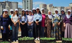 GABB 'Kadın Kent Bostanları’ projesinin startını verdi