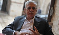 Ahmet Türk: Devlet beklentilere yanıt vermeli