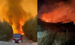 Foça'da yangın büyüyor: Çok sayıda ev boşaltıldı