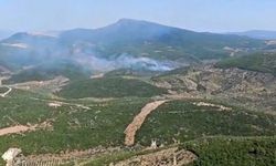 Ege'nin birçok bölgesinde yangın