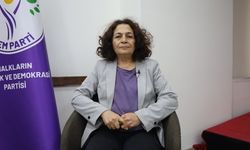 Çınar: Bu süreçte Meclis'in tatile girmesi sorundur