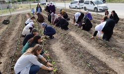 Kadın Kent Bostanları ile kent komünleri